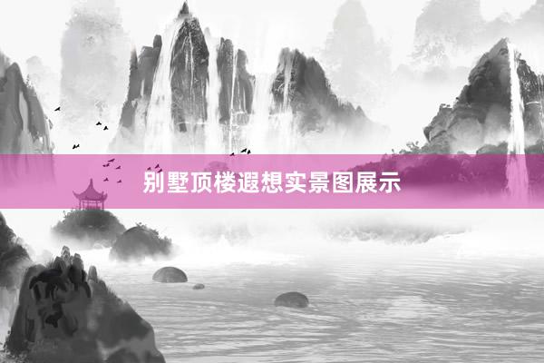 别墅顶楼遐想实景图展示