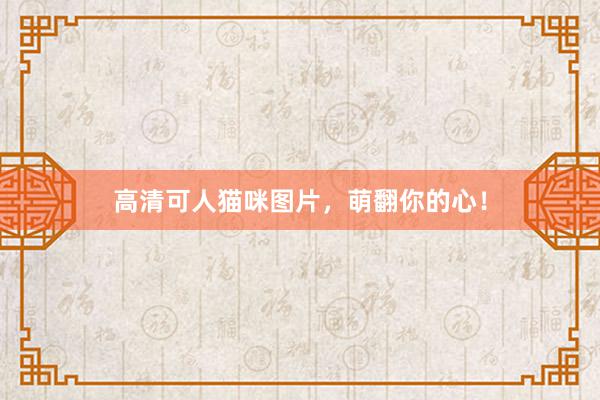 高清可人猫咪图片,萌翻你的心!