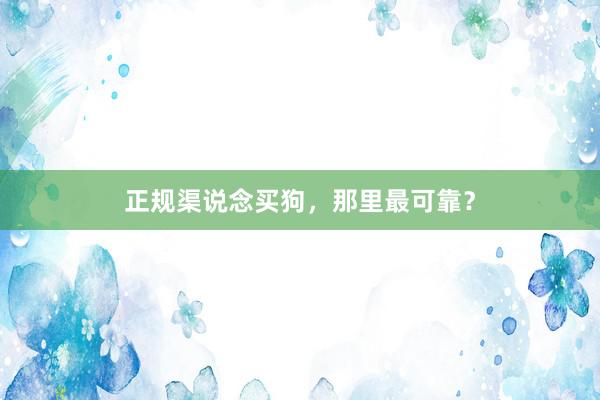 正规渠说念买狗，那里最可靠？