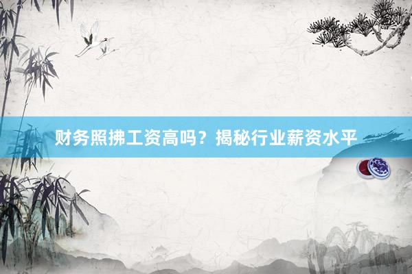 财务照拂工资高吗？揭秘行业薪资水平